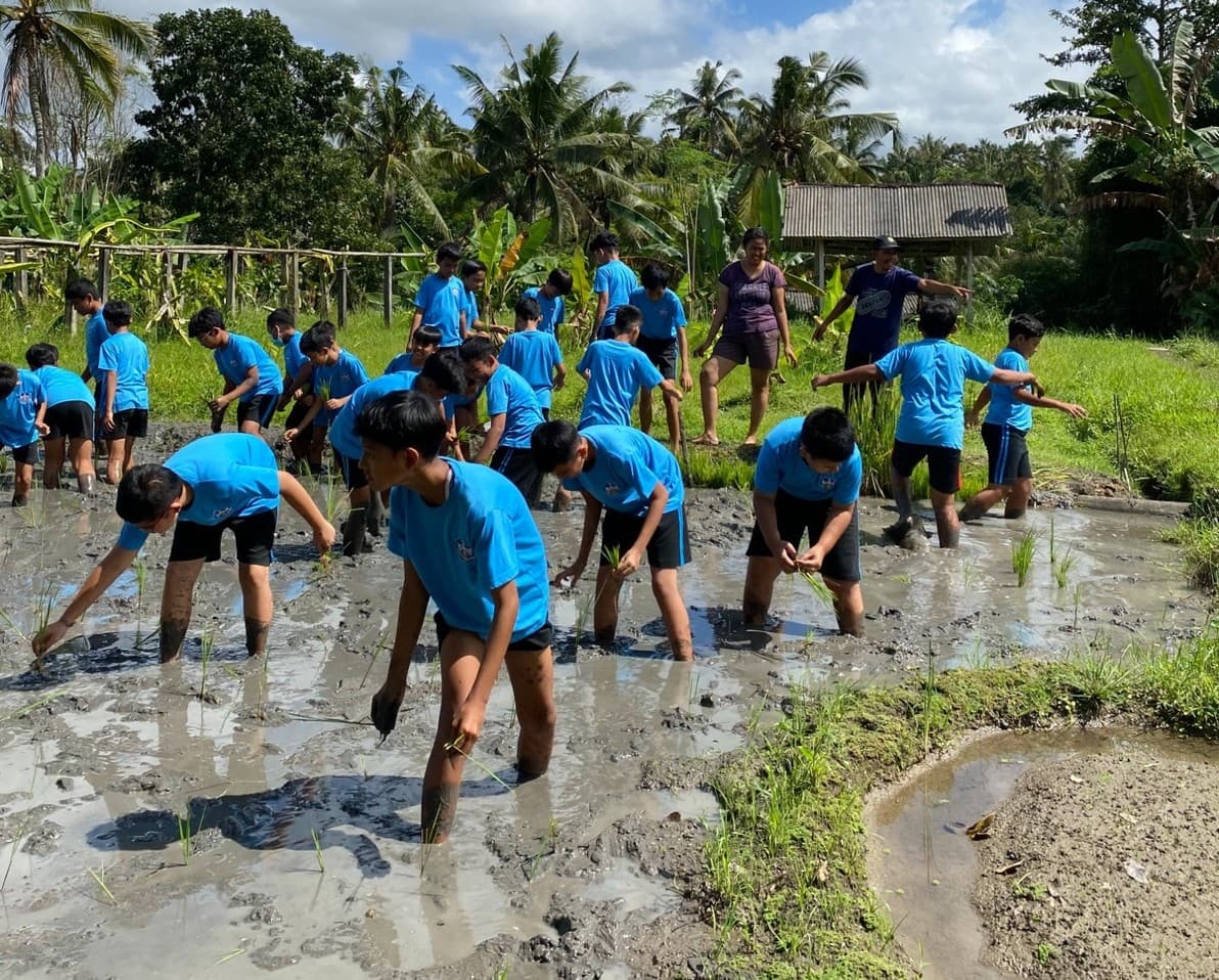 Image Desa Coklat Bali 3