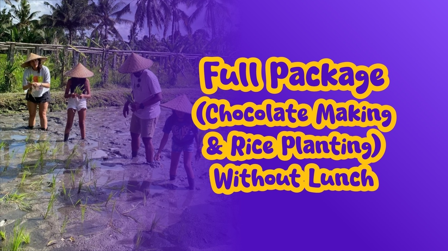 Full Package (Chocolate Making & Rice Planting) Without Lunch