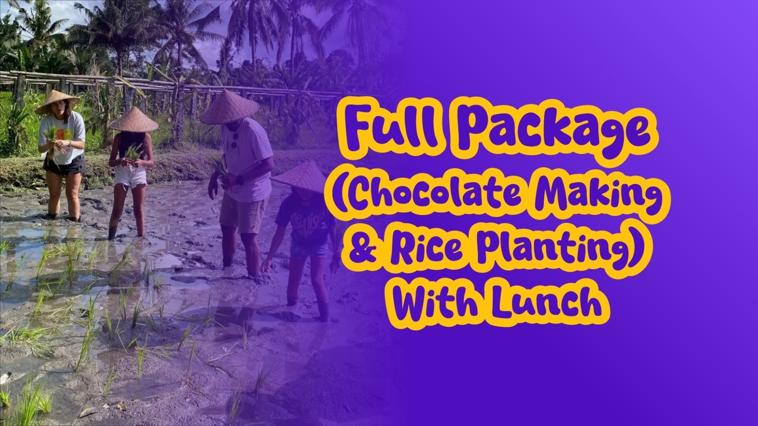 Full Package (Chocolate Making & Rice Planting) With Lunch